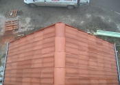 P1010191.jpg