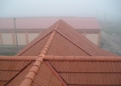 P1010201.jpg