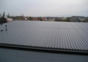 P4200026.jpg
